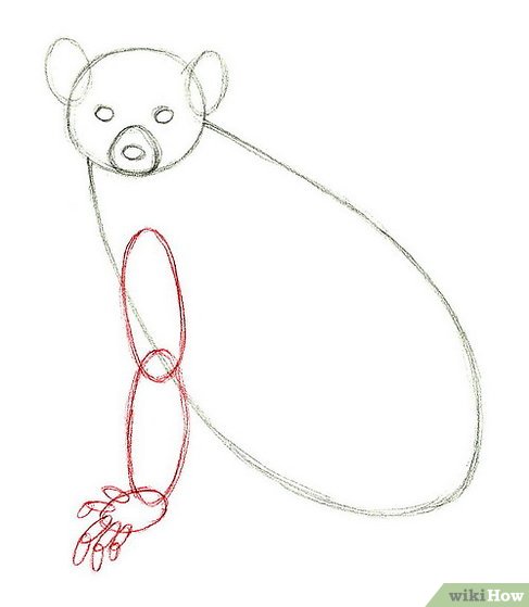 487x559 how to draw a lemur steps - Ring Tailed Lemur Drawing