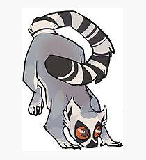 210x230 ring tailed lemur drawing photographic prints redbubble - Ring Tailed Lemur Drawing