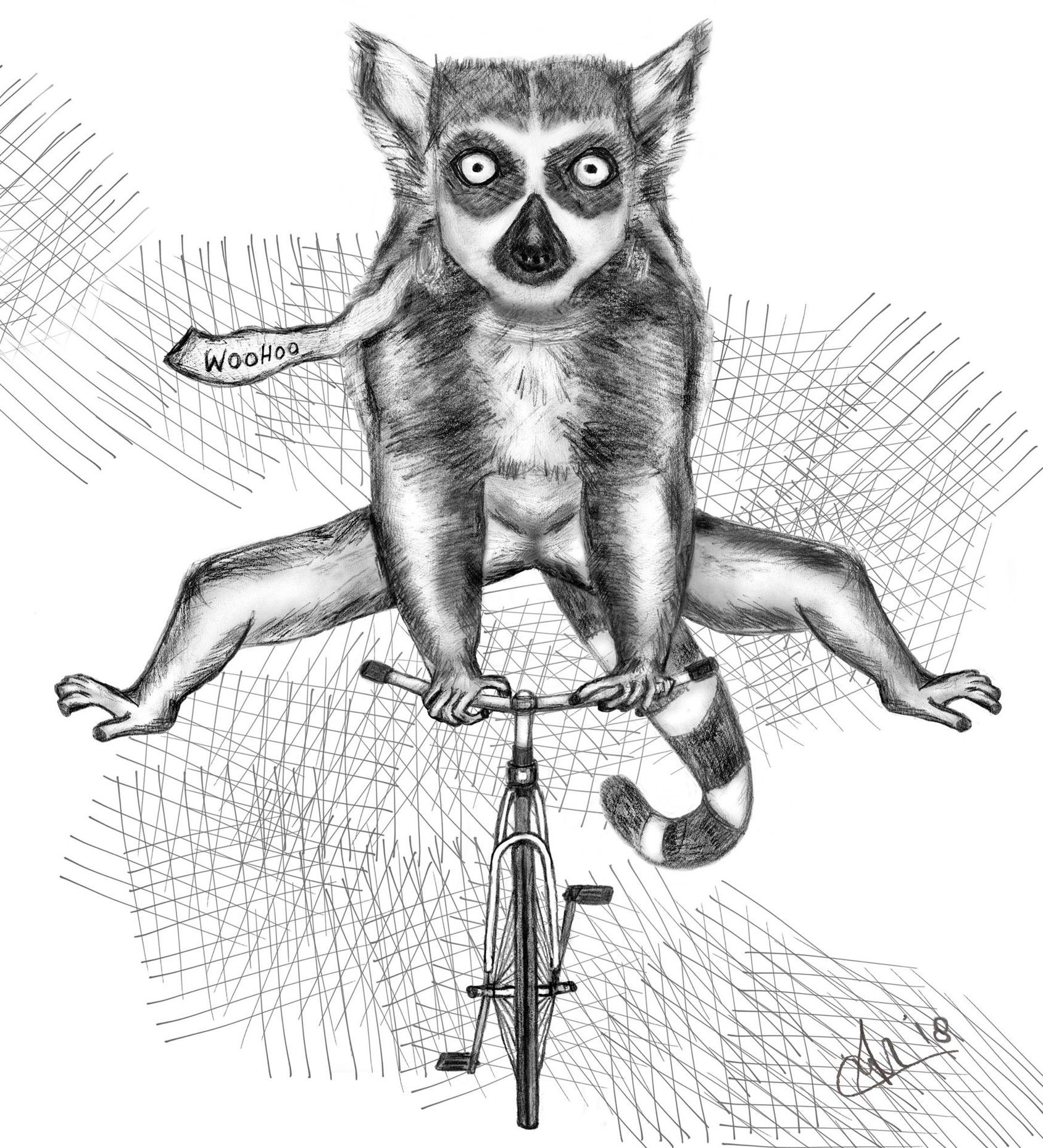 1690x1860 animal fun charcoal - Ring Tailed Lemur Drawing