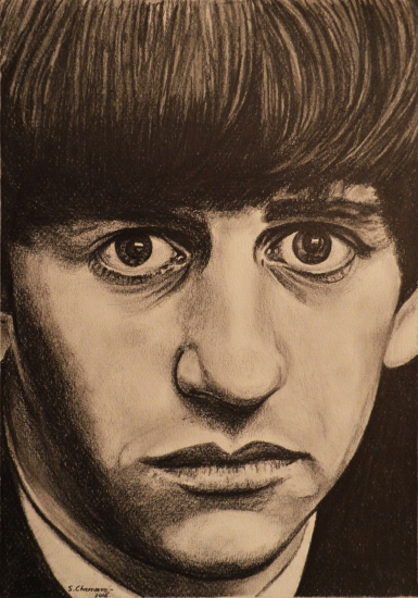 385x550 ringo starr, pencil, drawings, buy original art - Ringo Starr Drawing