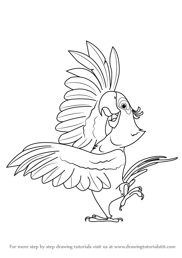 596x843 learn how to draw blu from rio - Rio Drawing