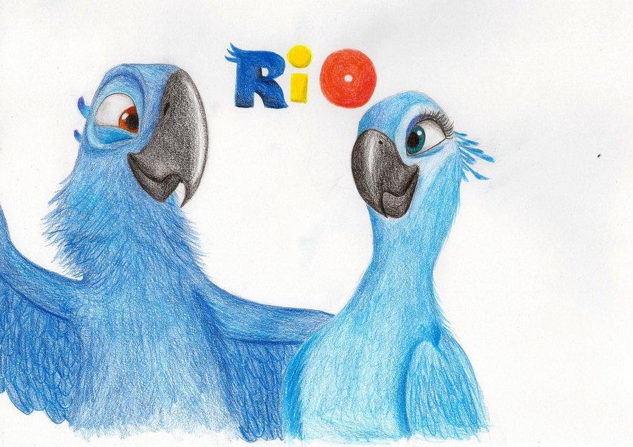 900x636 how to draw jewel rio - Rio Drawing