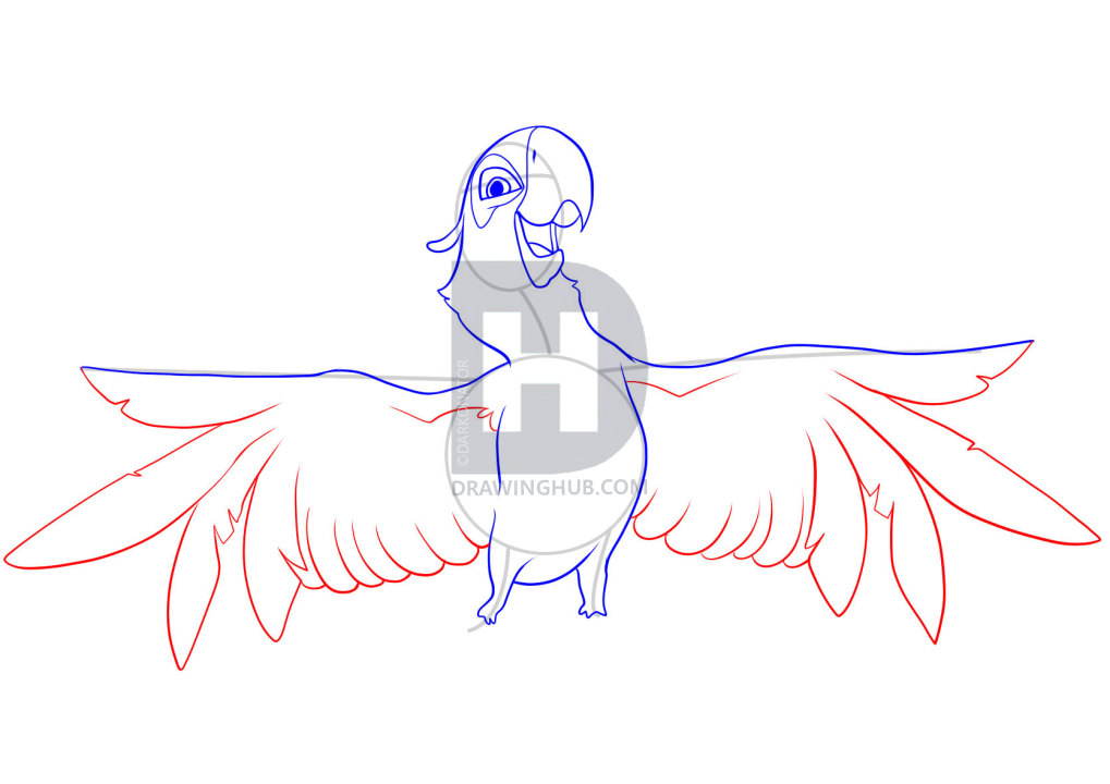 1019x720 how to draw rio, how to draw blu, step - Rio Drawing