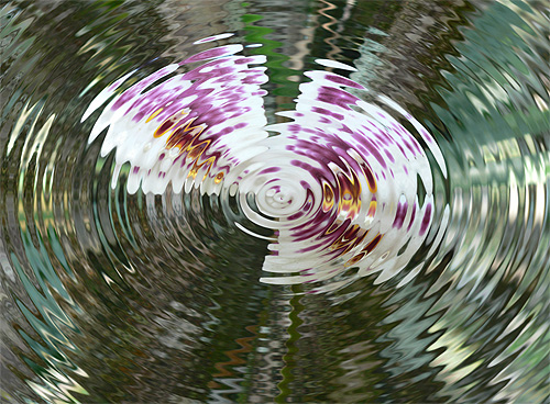 500x368 pena paint package - Ripple Drawing