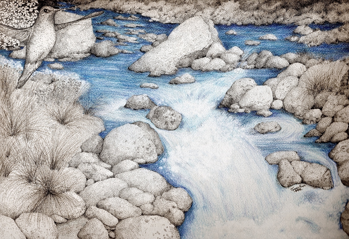 1200x824 Landscape Ink Drawings Blue River Rock Rapids - River Drawing Images