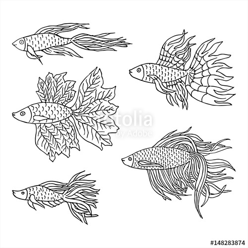 500x500 Set Of Beautiful Hand Drawn Aquarium Fish River Fish Sea Fish - River Line Drawing