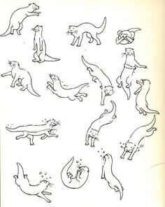 236x296 how to draw a river otter art drawings, otters, art - River Otter Drawing