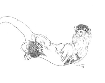 340x270 River Otter Drawing Etsy - River Otter Drawing