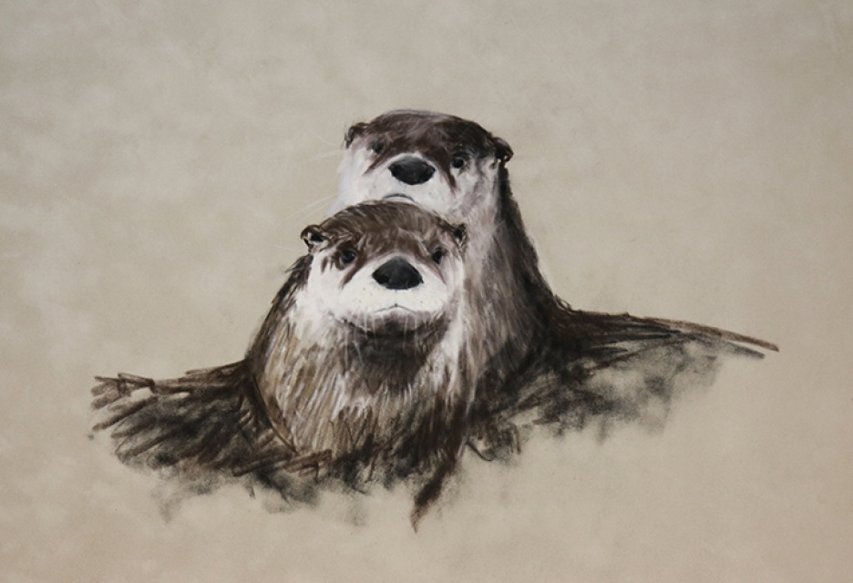 936x640 River Otter Pastel Drawing For Sale - River Otter Drawing