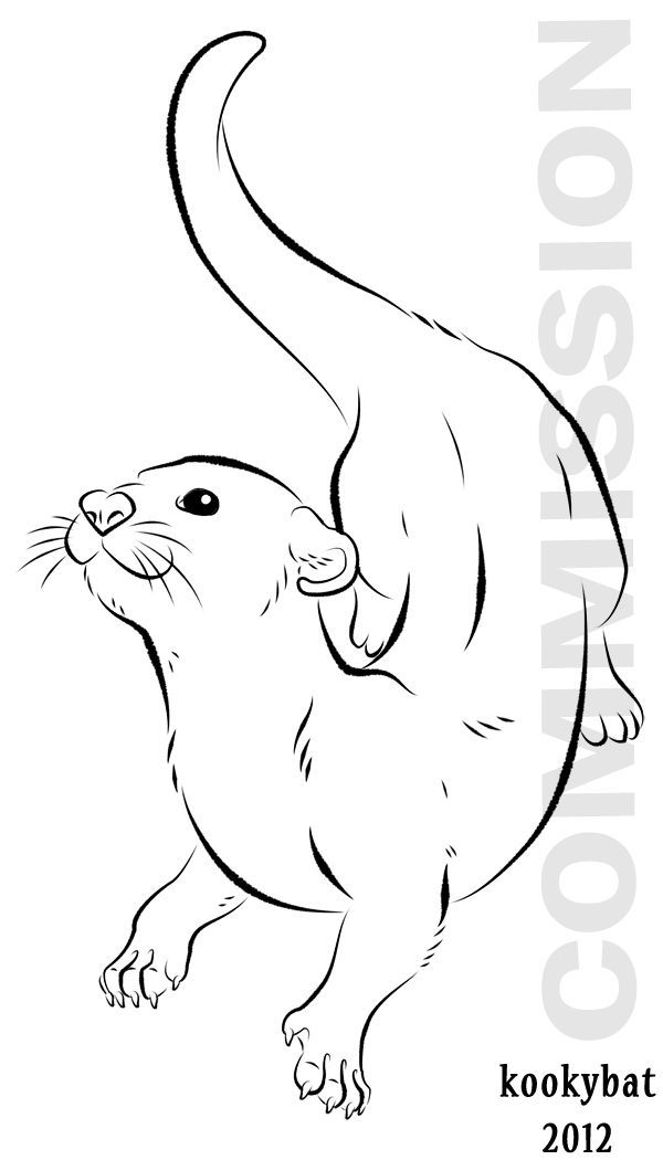 600x1050 River Otter Tattoos - River Otter Drawing