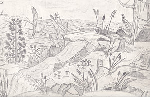 300x194 River Scene Pencil Drawing - River Pencil Drawing