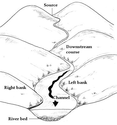 376x400 riverbed drawing - Riverbed Drawing
