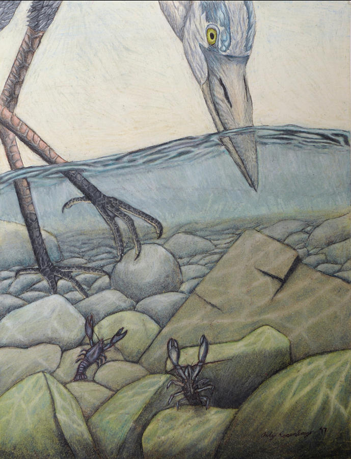 689x900 riverbed drawing - Riverbed Drawing