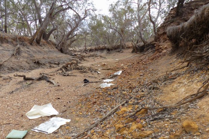 700x467 drawing the drought brisbane artist documents the dry creek beds - Riverbed Drawing