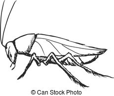 231x194 cockroach illustrations and clip art cockroach royalty free - Roach Drawing