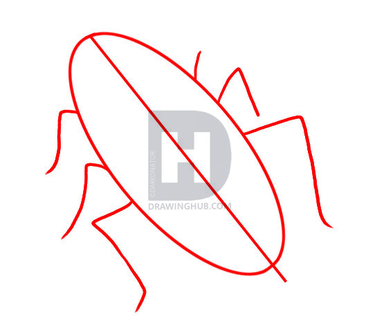 555x480 how to draw a cockroach, step - Roach Drawing