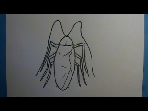 480x360 How To Draw A Roach - Roach Drawing