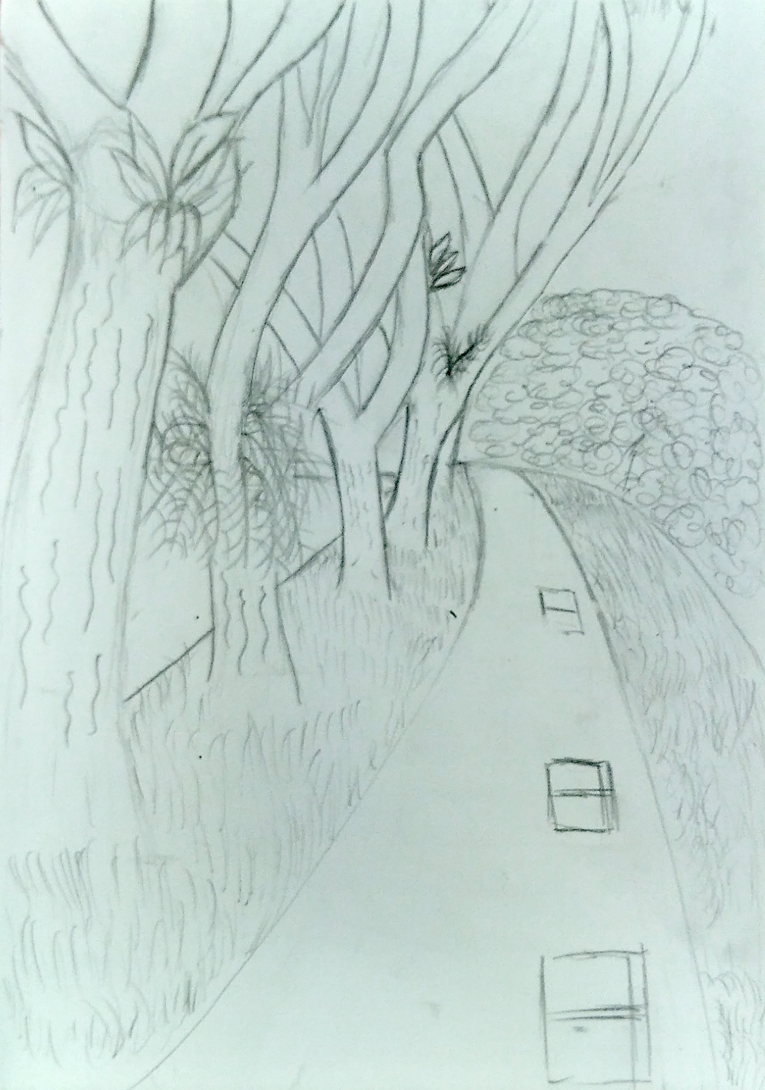 1518x2162 road perspective drawing ikigai - Road Perspective Drawing