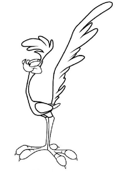 Road Runner Cartoon Drawing at PaintingValley.com | Explore collection