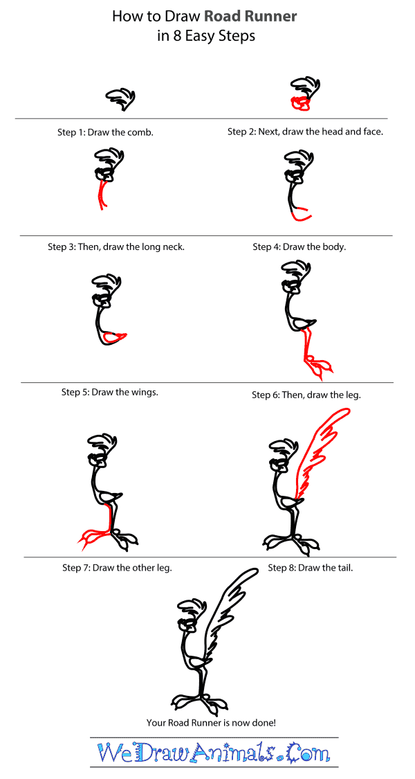 600x1125 how to draw the road runner from looney tunes - Road Runner Cartoon Drawing