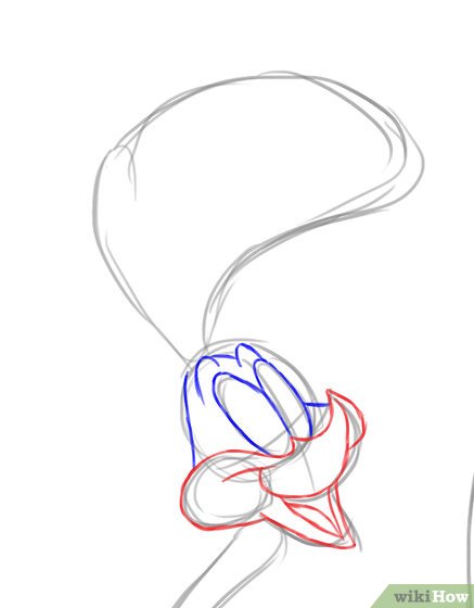 437x560 how to draw the road runner steps - Road Runner Cartoon Drawing