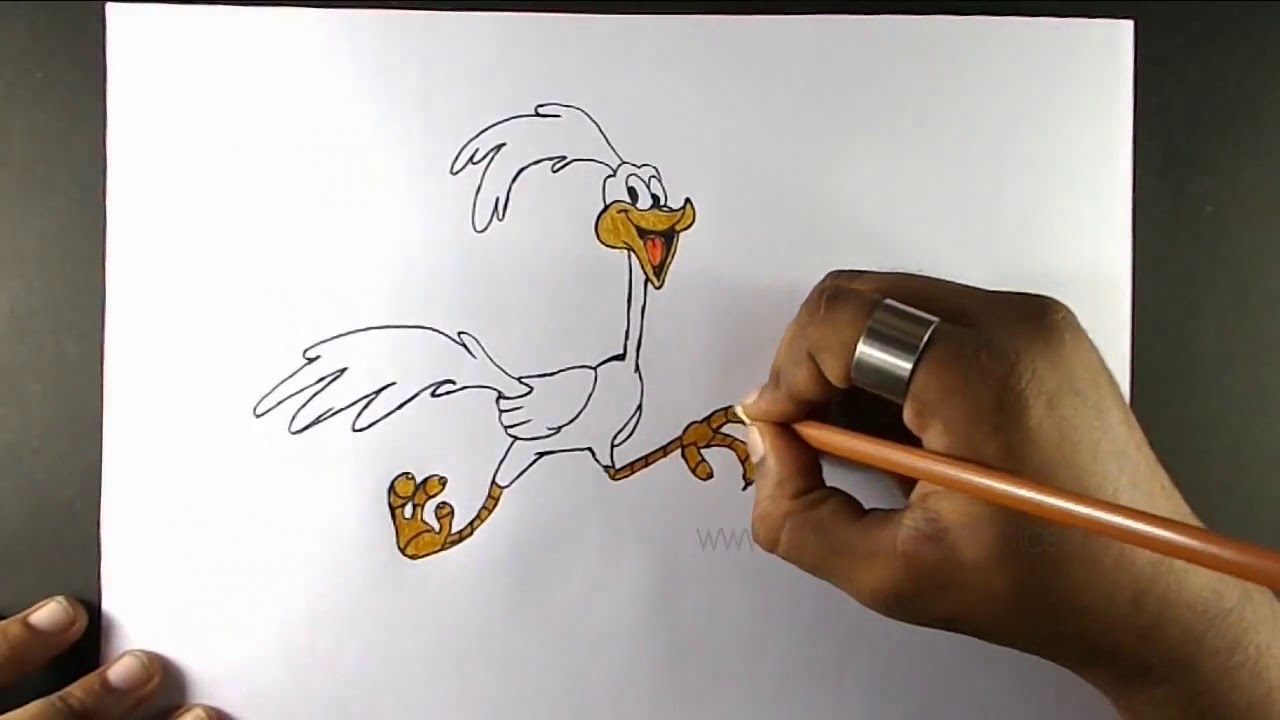1280x720 How To Draw Roadrunner Easy Step - Road Runner Cartoon Drawing
