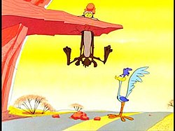 250x187 wile e coyote and the road runner - Road Runner Cartoon Drawing