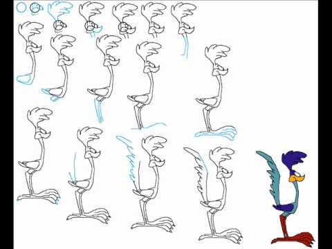 480x360 how to draw road runner step - Road Runner Cartoon Drawing