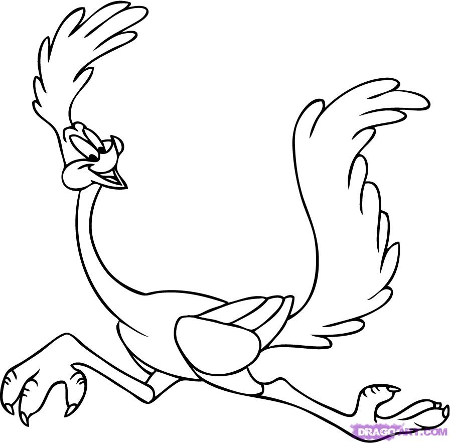 897x883 How To Draw Road Runner, Step - Roadrunner Bird Drawing