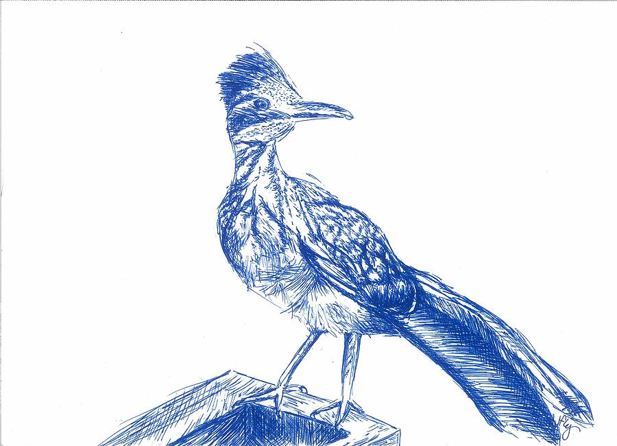 Roadrunner Bird Drawing at PaintingValley.com | Explore collection of