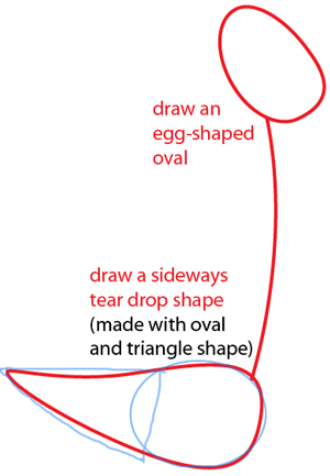 300x433 How To Draw Road Runner From Looney Tunes With Easy Step - Roadrunner Drawing