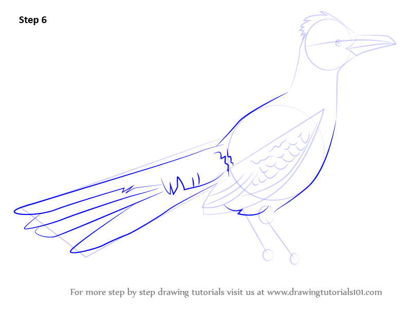 792x612 Learn How To Draw A Greater Roadrunner - Roadrunner Drawing