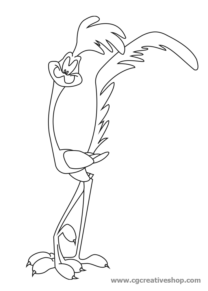 Roadrunner Drawing at Explore collection of