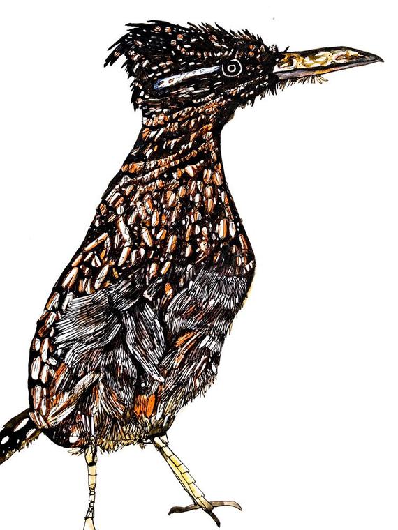 570x760 Roadrunner Original Drawing Etsy - Roadrunner Drawing