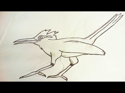 480x360 unforseen beasts, an attempt - Roadrunner Drawing