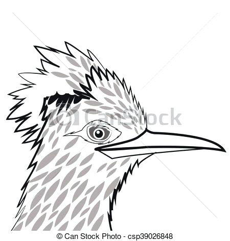 450x470 Roadrunner Drawing Iamjohnegan - Roadrunner Drawing