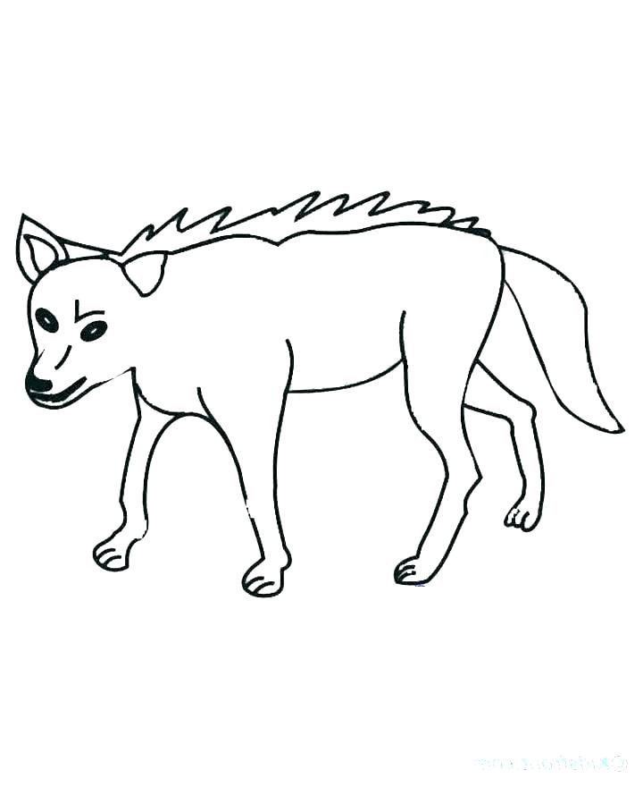 720x880 Baby Roadrunner Coloring Pages Tunes Wile E Coyote Drawing Color - Roadrunner Drawing