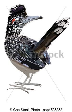 300x470 Clip Art Of Greater Roadrunner Looking Back - Roadrunner Drawing