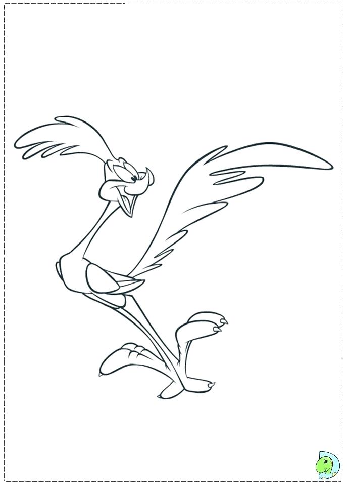 Roadrunner Drawing at PaintingValley.com | Explore collection of