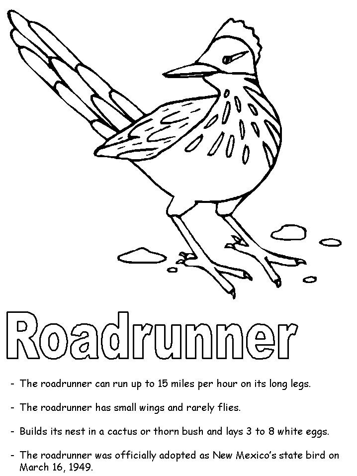 718x957 Coyote Owl And Roadrunner Sketch Drawings Best Of United States - Roadrunner Drawing