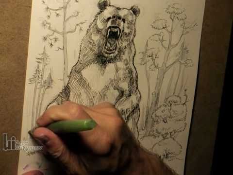 480x360 Drawing A Big Roaring Bear - Roaring Bear Drawing