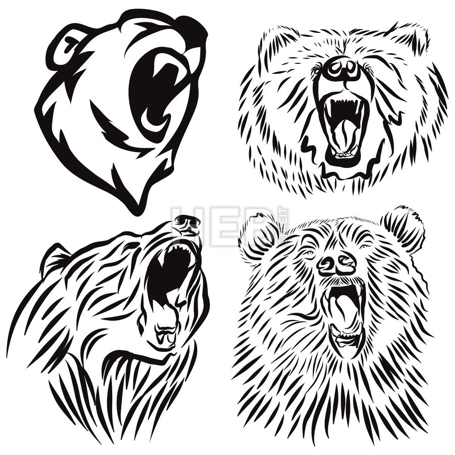 900x900 four wild grizzly heads, hand drawn vector roaring bear high - Roaring Bear Drawing
