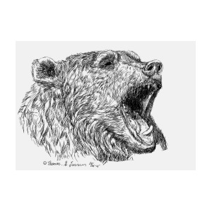 300x300 Roaring Bear Digital Art - Roaring Bear Drawing