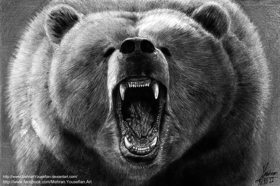 900x600 Roaring Grizzly Bear Drawing - Roaring Bear Drawing
