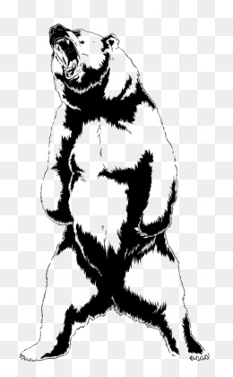260x420 bear roar png - Roaring Bear Drawing