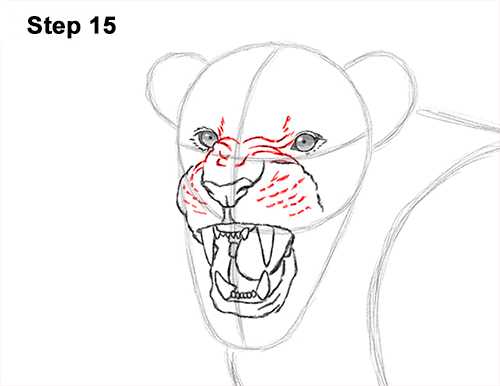 500x386 How To Draw A Lion Roaring - Roaring Lion Head Drawing