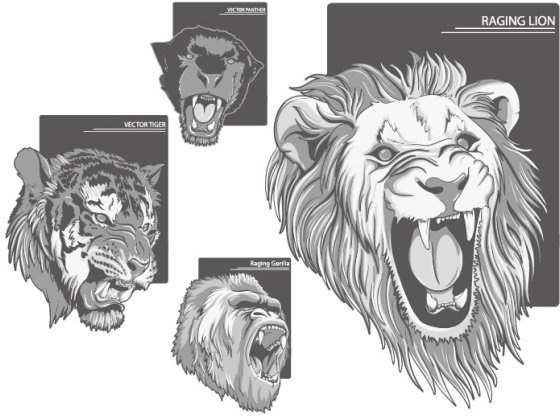 560x416 Huge Collection Of 'roaring Lion Head Drawing' Download More Than - Roaring Lion Head Drawing