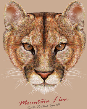 294x368 Roar Lion Head Free Vector Download - Roaring Lion Head Drawing