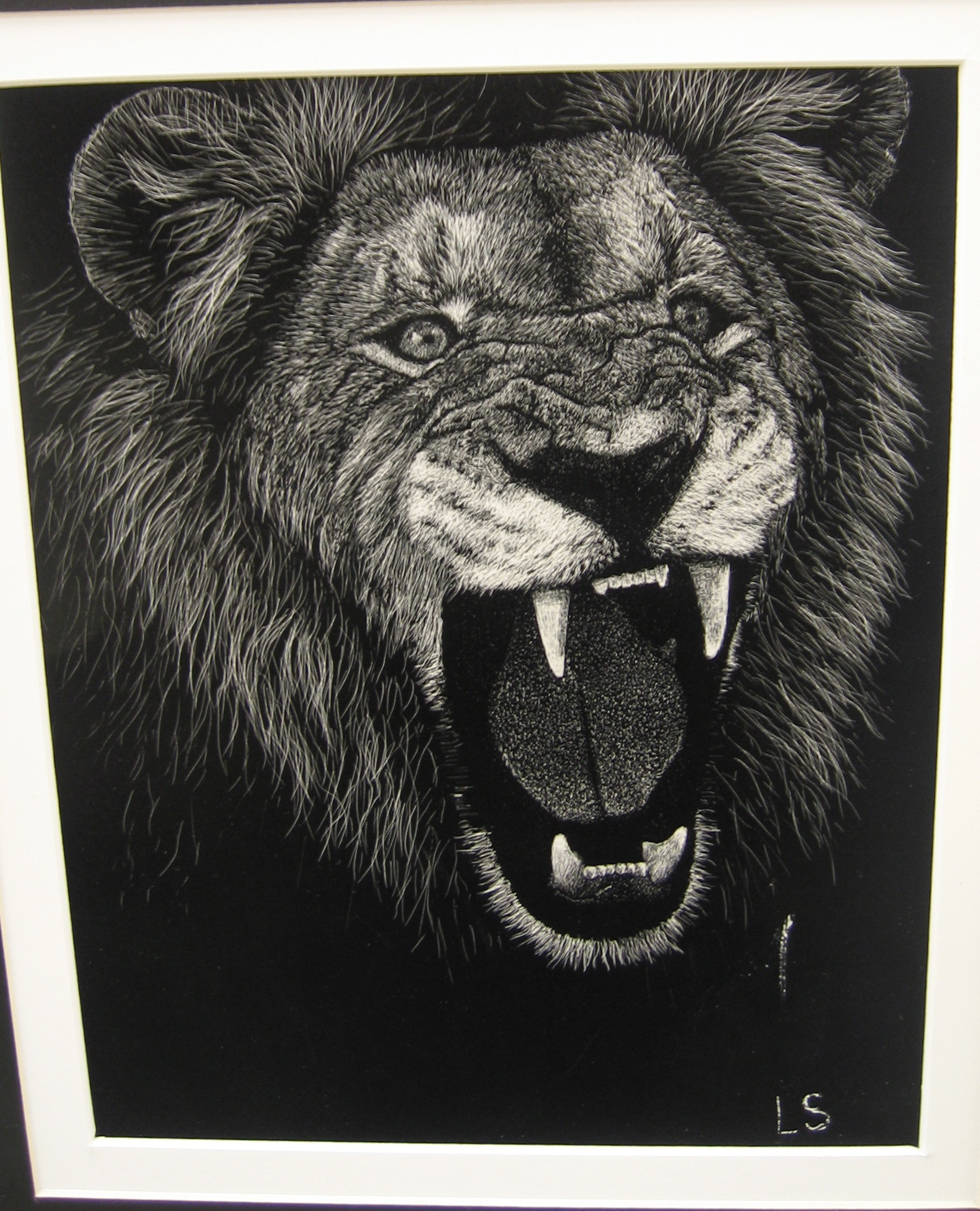 Roaring Lion Head Drawing At Explore Collection Of