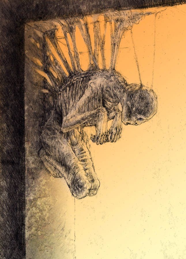 645x900 Roasted - Roasted Drawing